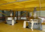 Fresh Wet Noodle Machine Production Line / Food Processing Machinery Supplier