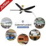 Luxury Villa Black Gold Ceiling Fan With LED light 230v 6 Speed