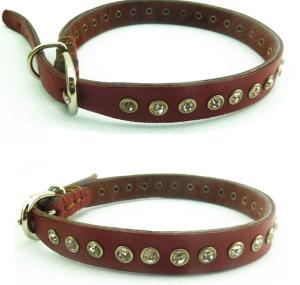 China Dog Collars factory