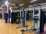 Commercial Gym Equipment Steel Pin Loaded Pull-up Bar and Dipping Machine for