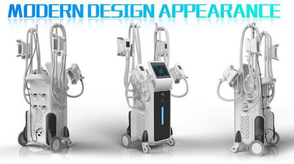 latest simultaneous working 4 habdles cryolipolysis body slimming machine