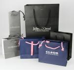 Custom Coated Foldable Paper Bag for Luxury Gift Paper Shopping Bag with