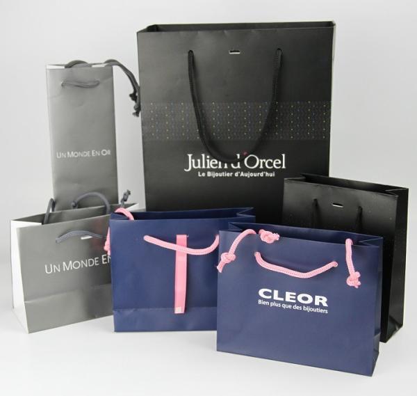 Custom Coated Foldable Paper Bag for Luxury Gift Paper Shopping Bag with