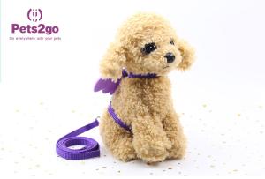 China Beautiful Color 75g 120cm Cord Pet Traction Rope factory