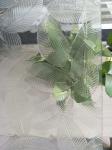 5mm-12mm Extra Clear Patterned Glass for Door Window Building