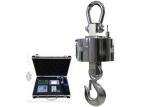 20T Battery Supervision SS Hanging Weighing Scale