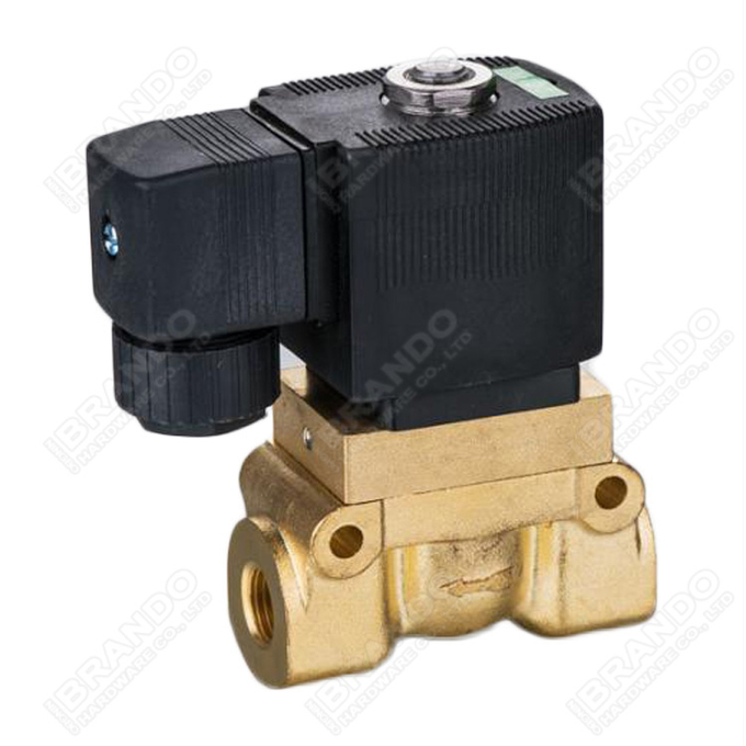 Burkert Type Solenoid Valve Coil 12V 24V DC 110V 120V 220V 230V AC 50Hz 6