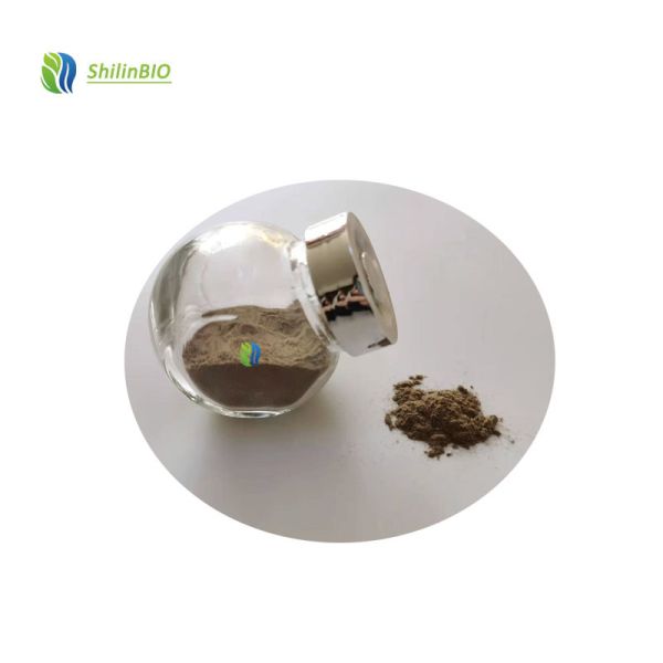 China Spongilla Lacustris Extract Powder Hydrolyzed Sponge Spicules Cosmetic Material 70% factory