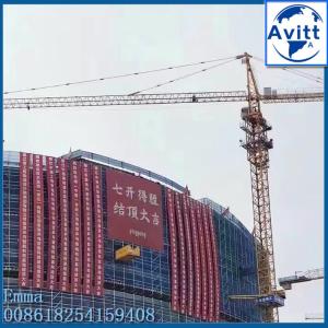 China 6t Load Capacity Hammer Head Tower Crane Types Of QTZ63-5013 Model factory