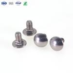 Square Neck Decorative Screw Stainless Steel 20mm Mirror Screws Polished