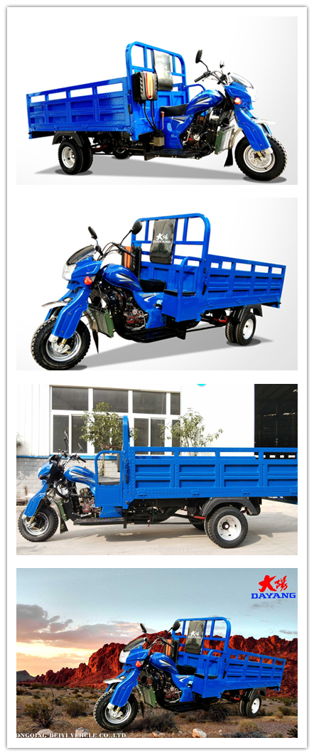Water Cooled Engine 200CC/250CC/300CC Heavy Loading Trike Three Wheel Motorcycle Made