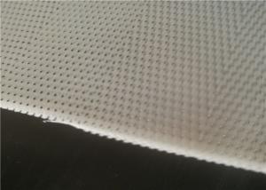 China Acid Resistant Monofilament Polyester Mesh For Belt Press Dewatering factory