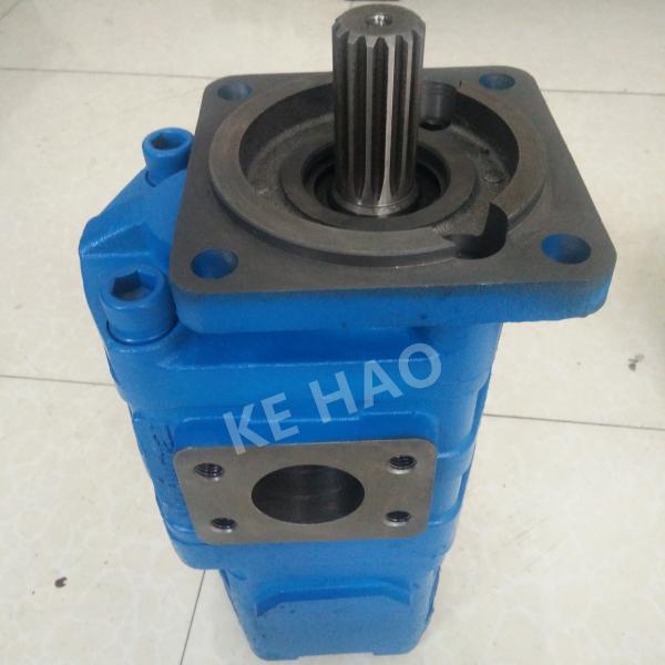 CBGJ Double Pump Square cover Spline Blue Compact Original Gear Pump For