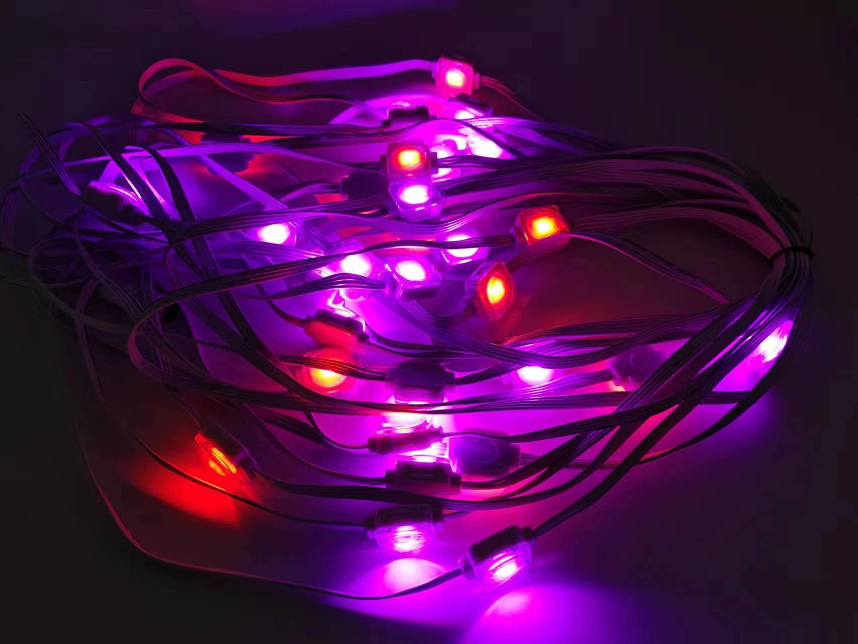 hot selling Multi Color 24v RGBIC remote and wifi Controller Strip pixel lights Led Eaves lights