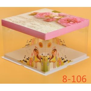 Disposable Clear/transparent Sandwich/cake Plastic Food Container/box/packaging