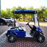 30mph Golf Cart Low Speed Vehicle 2 Passengers LSV With CE Certificated