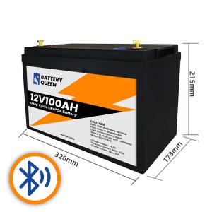 China Rechargeable 12V100AH Lifepo4 Battery Solar Lithium Iron Phosphate Battery factory
