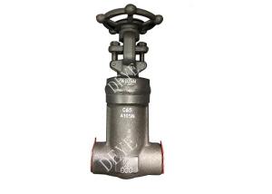 China A105N Forged Steel Oil Gas Valve PSB Globe Valve With 800lbs GVF-001500-N factory