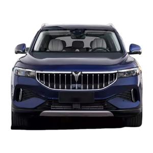 China 4905*1950*1645 Electric Energy Vehicles Suv Voyah Free 5seats And 4 Electric Vehicles Car With Made In 255/45 R20 2023 factory