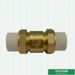 32mm DIN Drinkable Water Ppr Brass Body Check Valve