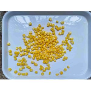 Canned Sweet Corn The Trusted Canned Corn Kernels for Your Customer Requirements