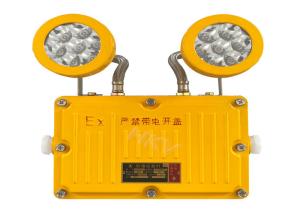 China Rechargeable Explosion Proof Emergency Light With Double Emergency Light factory
