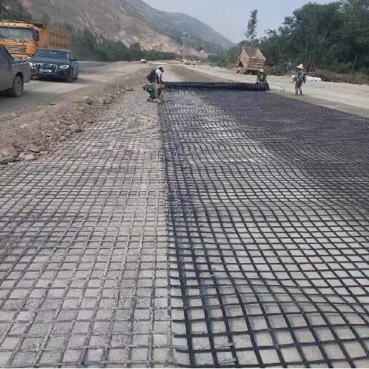 Steel Plastic Geogrid for Road Construction High Tensile Strength and Acid Resistant