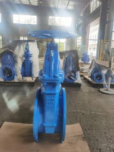 China Rising Stem Soft Seat Gate Valve GGG40 GGG50 for Industrial factory