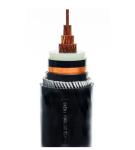 Black Copper PVC Insulated Power Cable 25mm Double For subway