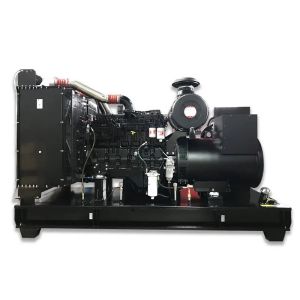 DCW-313T5 Cummins Industrial Diesel Generator 313KVA 250KW 50HZ