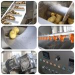 100kg/h Capacity Joyshine Industrial Frozen Fries Maker Machine with Oil Tank