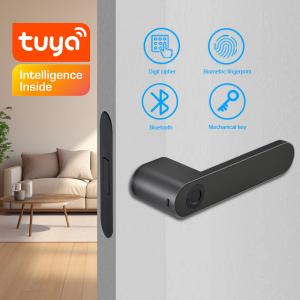 China Apartment Smart Fingerprint Door Lock Intelligent Biometric Black Aviation Aluminium factory