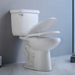 Siphon Jet 2 Piece Wall Hung Toilet Tall 10 Inch Two Piece Commode Elongated