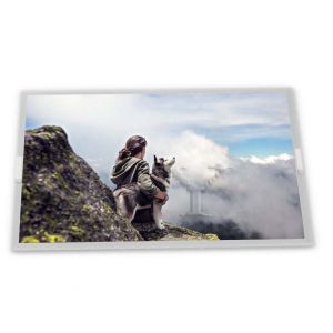 7.0 Inches TFT Panel A070VW08 V2 800*480 LCD with High Resolution Model A070VW08