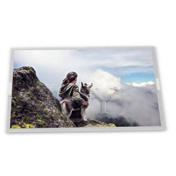 7.0 Inches TFT Panel A070VW08 V2 800*480 LCD with High Resolution Model A070VW08