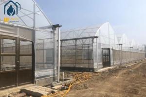 China Easy Installation Multi Span Horticulture Greenhouse For Year Round Cultivation factory