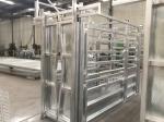 Professional Hot DIP Galvanized Cattle Crush with Weighing Scale