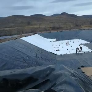 China s Distribution High Density Polyethylene EVA HDPE Geomembrane Waterproof Anti-Leakage factory