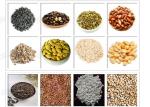 Fully Automatic Sacha Inchi Nut Shelling Machine Dehulling 200 - 300kg/H