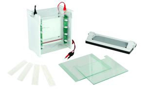 China Vertical Protein Gel Electrophoresis Apparatus Mini-protean Electrophoresis Cell Jy-scz6+ factory
