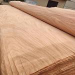 Natural Wood Rotary Cut PQ Veneer Sheet With 0.15-0.3mm For Plywood