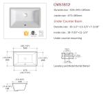 Ada Compliant Wall Mount Bathroom Sink Ceramic Undermount Basin
