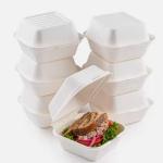 Single Cell Bagasse Lunch Box Disposable Bagasse Food Container 8 Inch