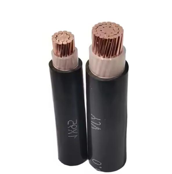OEM Single Core 1000V 600V Low Voltage Cable With Copper Conductor PVC