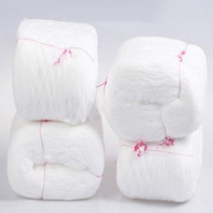 China DTY Raw White Nylon 6 Yarn 70D/24F/2 For Sewing factory