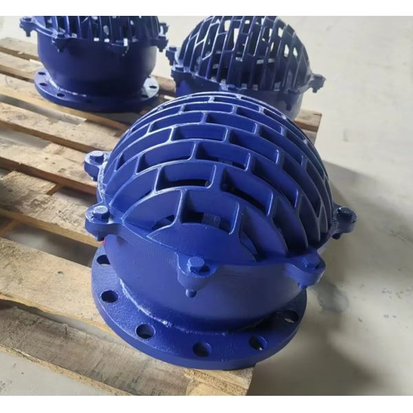 resilient seal ductile iron flanged foot valve blue color from China medium water