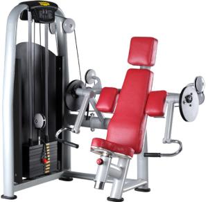 China Seated Biceps Machine factory