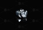 FMC Co Cr Full Metal Crown Sleek Modern Strong Sturdy Metal Alloy For Durability