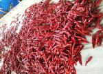 3CM Dried Birds Eye Chilli Pungent Red Chili Pods Dehydrated Without Stem