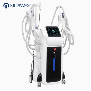 China 2018 hot sale abdominal fitness equipment Cryolipolysis fat freeze 4 in 1 cryolipolysis fat freezing machine on sale